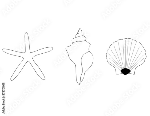 SHELLS