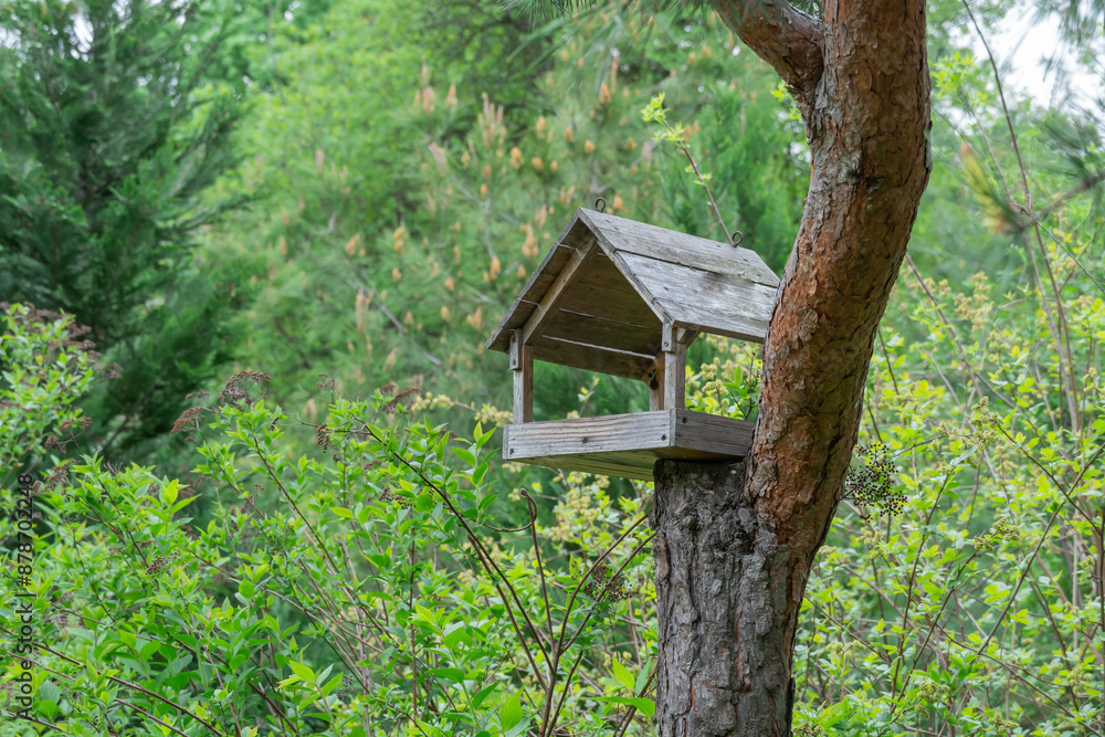 Wooden bird feeder on tree in park against of green firtrees and fresh leaves. Handmade food house for birds with roof with details. Wooden bird feeder on tree in park against of green firtrees and fresh leaves. Handmade food house for birds with roof with details.