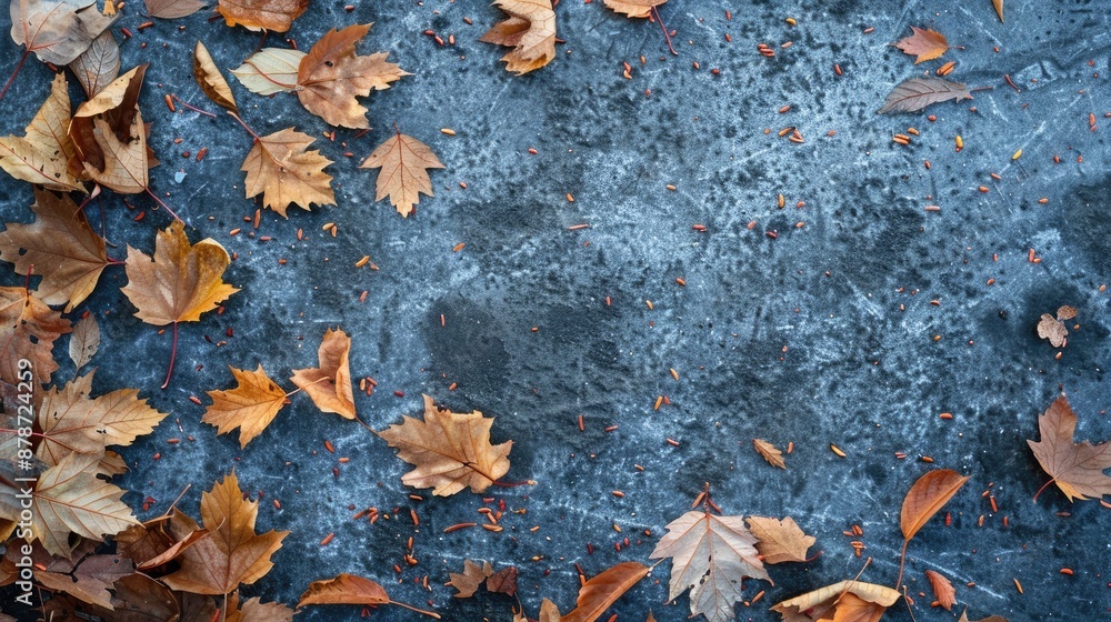 Cold winter morning with dry leaves scattered on paved surface photo with empty space Cold winter morning with dry leaves scattered on paved surface photo with empty space
