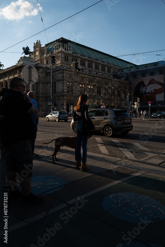 Lady with the dog crossing the road in Vienna, street photography 