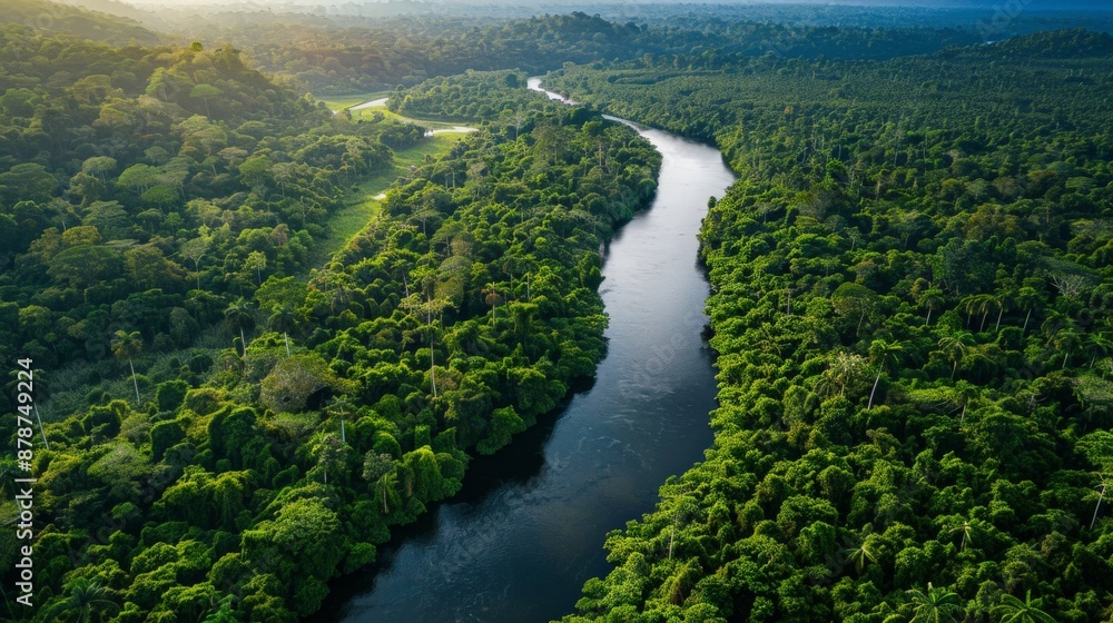 Scenic river winding through a lush rainforest, with a simple backdrop of dense foliage and a clear sky, perfect for an adventurous travel destination Scenic river winding through a lush rainforest, with a simple backdrop of dense foliage and a clear sky, perfect for an adventurous travel destination
