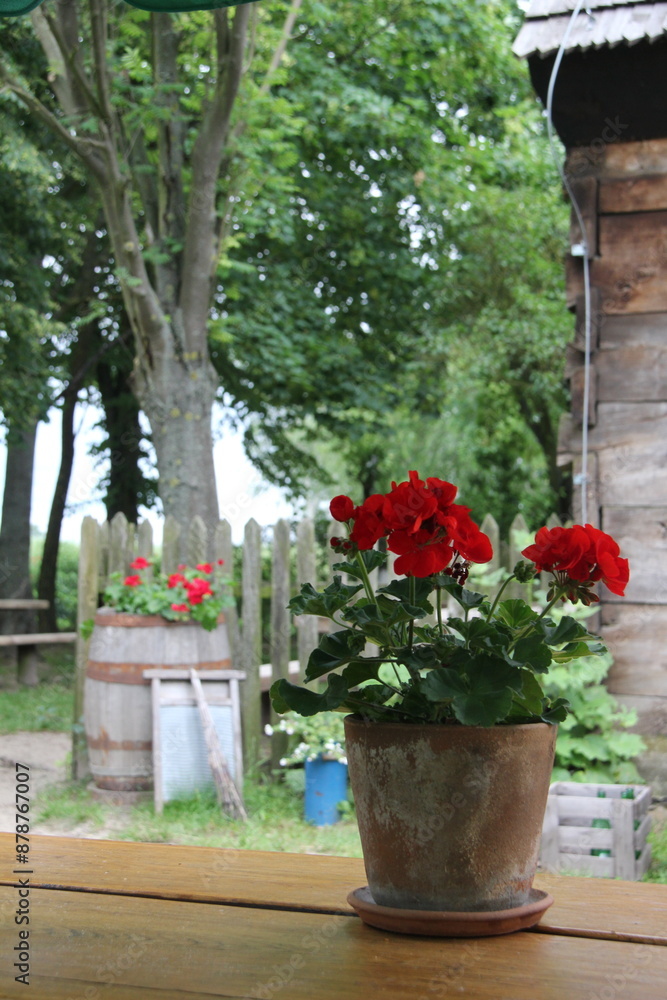 Decoração com vazos de flores vermelhas, paisagismo, com barril e flores. Decoração com vazos de flores vermelhas, paisagismo, com barril e flores.