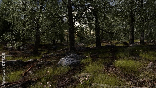 Forest Render