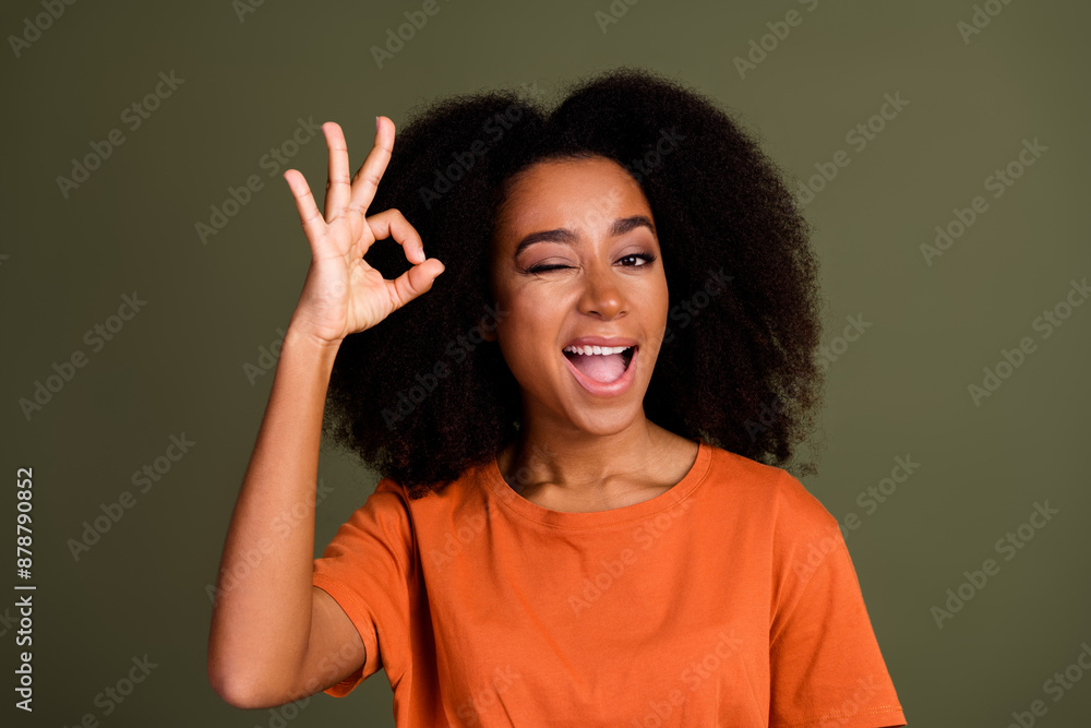 Portrait of funky nice girl with wavy hairstyle wear orange t-shirt showing okey nice work winking eye isolated on dark khaki background Portrait of funky nice girl with wavy hairstyle wear orange t-shirt showing okey nice work winking eye isolated on dark khaki background