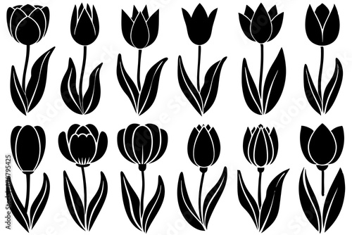 A set for flower Tulip silhouettes with Silhouette vector illustration  © Ishraq