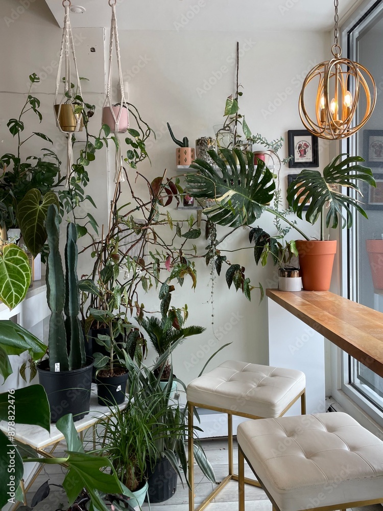 Fototapeta premium houseplants and modern decor in cozy cafe