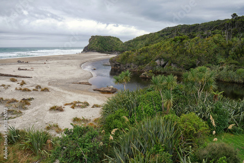 Where the jungle meets the ocean