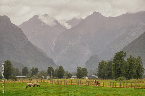 Animals grazing at the foot of a New Zealand glacier