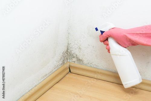 Hand With Glove Cleaning Mold on a Wall With Spray Bottle, hand with glove sprays a special antifungal spray on the mold-infested wall