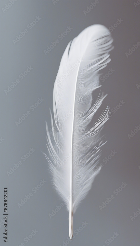 Delicate white feather with intricate details on a clean isolated background symbolizing lightness a Delicate white feather with intricate details on a clean isolated background symbolizing lightness a