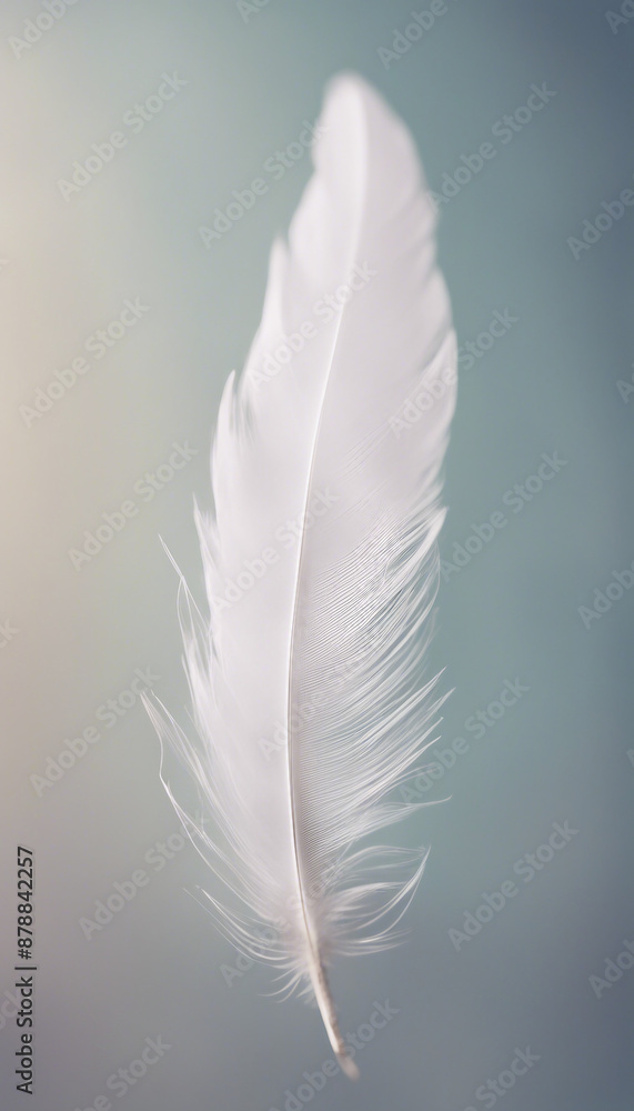 Delicate white feather with intricate details on a clean isolated background symbolizing lightness a Delicate white feather with intricate details on a clean isolated background symbolizing lightness a
