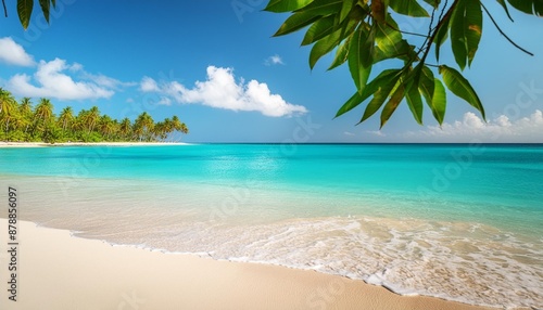 sunny tropical beach summer holidays vacation caribbean beach with turquoise water background