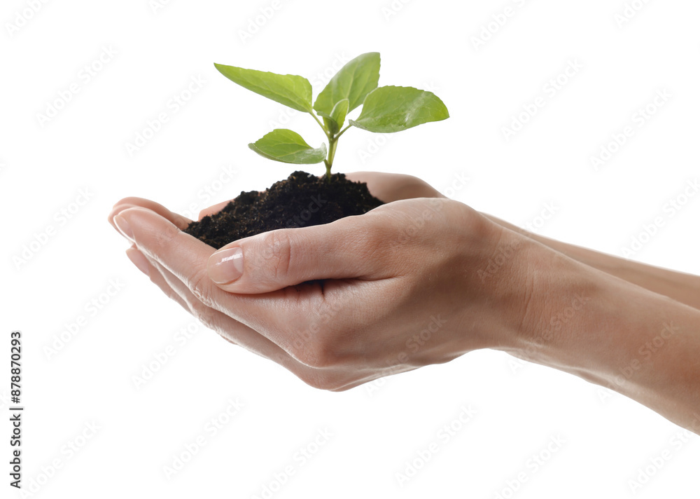 Environmental protection. Woman holding seedling with pile of soil on white background, closeup Environmental protection. Woman holding seedling with pile of soil on white background, closeup