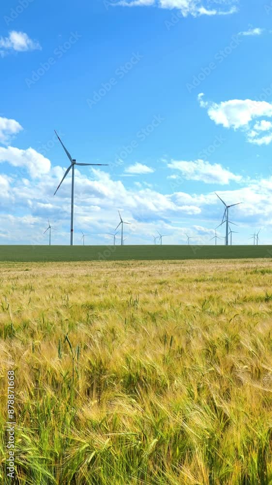Windmills group in a wheat field. Vertical video. Wind generator .Bio fuel and green energy. slow movement of screws.Natural renewable clean eco energy.Alternative energy sources. 4k footage Windmills group in a wheat field. Vertical video. Wind generator .Bio fuel and green energy. slow movement of screws.Natural renewable clean eco energy.Alternative energy sources. 4k footage