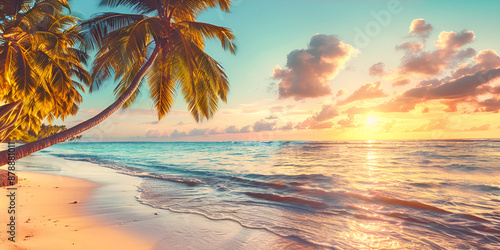 trees on the beach