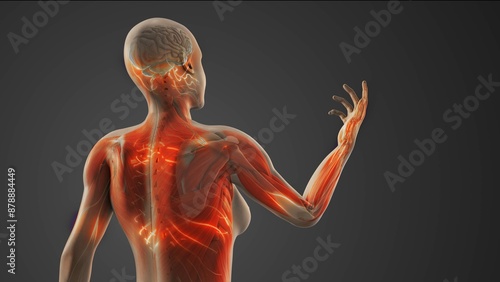Medical concept of complex regional pain syndrome