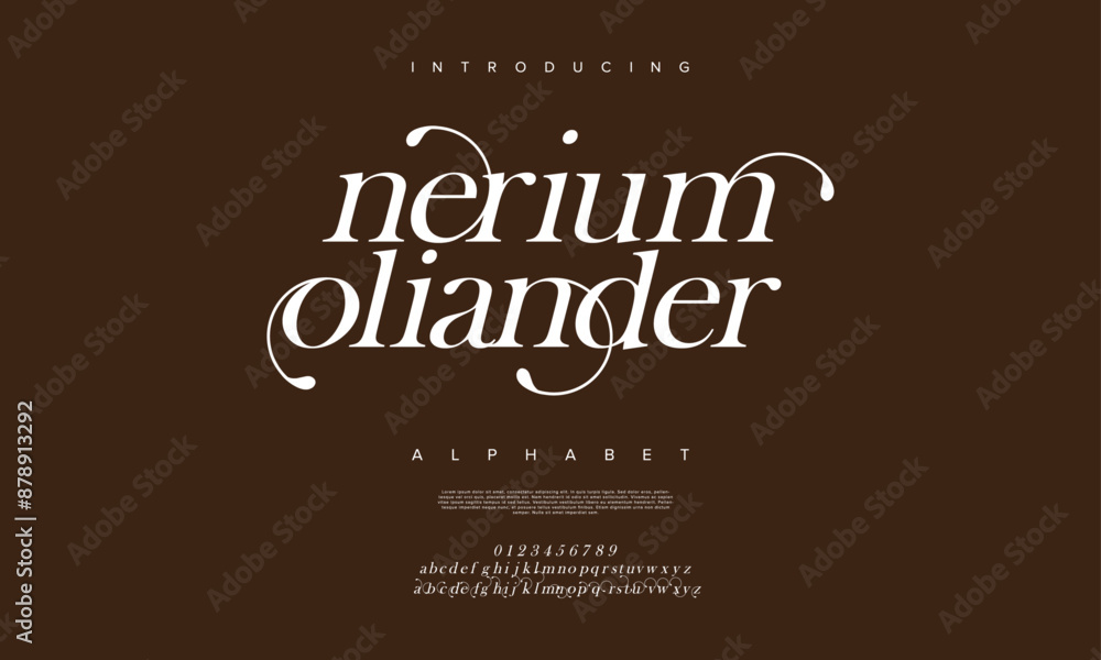 Neriu premium luxury elegant alphabet letters and numbers. Vintage wedding typography classic serif font decorative vintage retro. creative vector illustration Neriu premium luxury elegant alphabet letters and numbers. Vintage wedding typography classic serif font decorative vintage retro. creative vector illustration