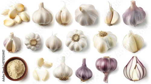 Collection of Garlic Bulbs, Cloves, and Powder