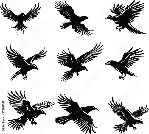 raven black and white silhouette vector illustration collection
