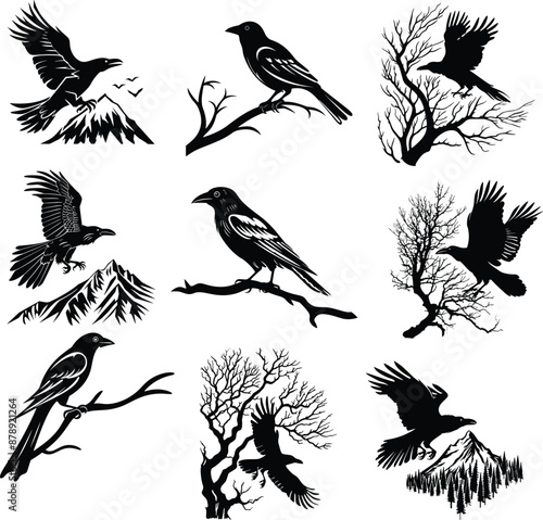 raven black and white silhouette vector illustration collection
