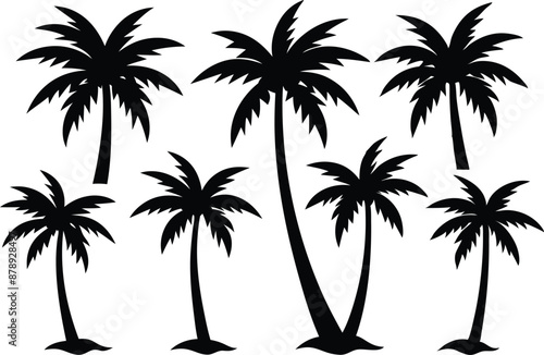 Palm tree Silhouette Set, set of black silhouettes of a palm tree, silhouette of a palm tree isolated
