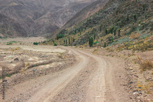 winding road in the mountains