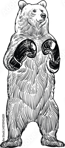 Vintage hand drawn sketch of boxing bear gloves 