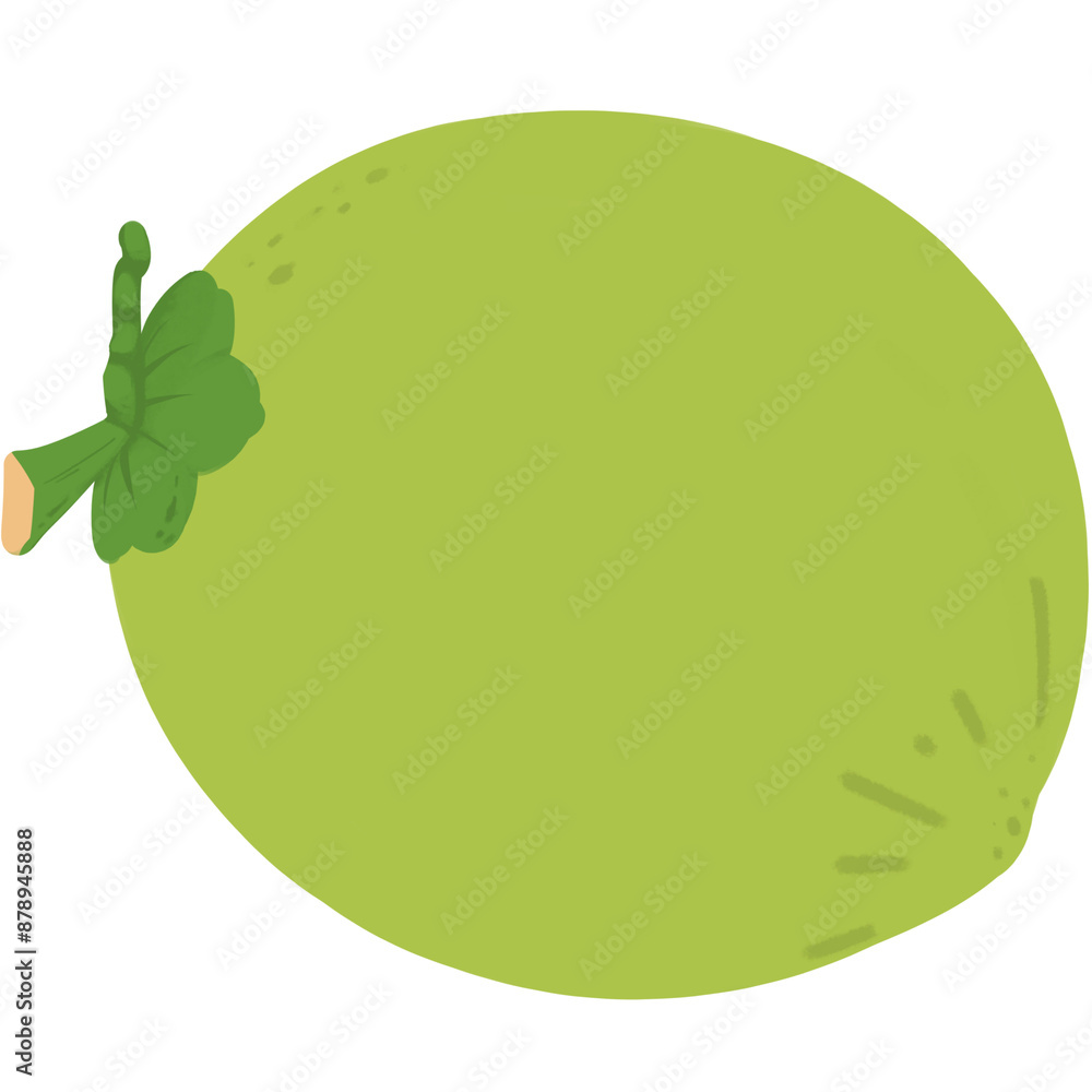 Green coconut icon png transparent Green coconut icon png transparent