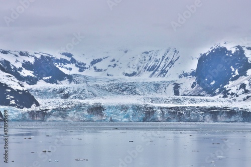 College Fjord, Alaska photo