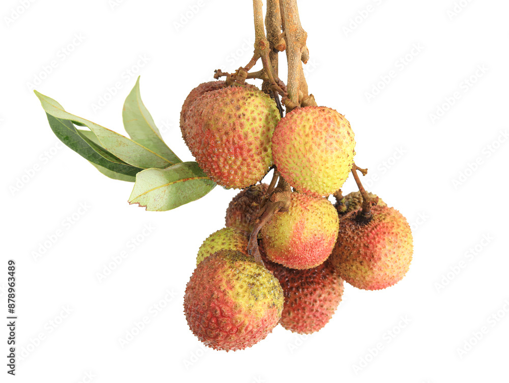 lychee isolated on white background lychee isolated on white background