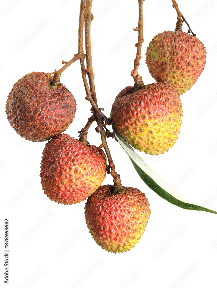 lychee isolated on white background lychee isolated on white background