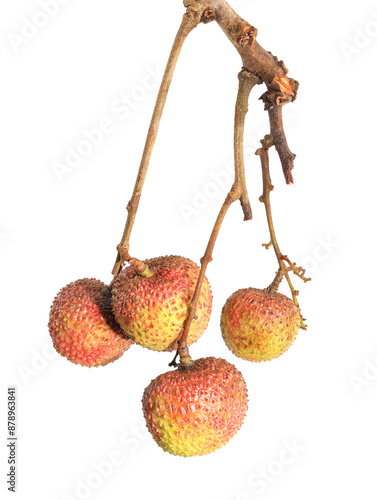 lychee isolated on white background