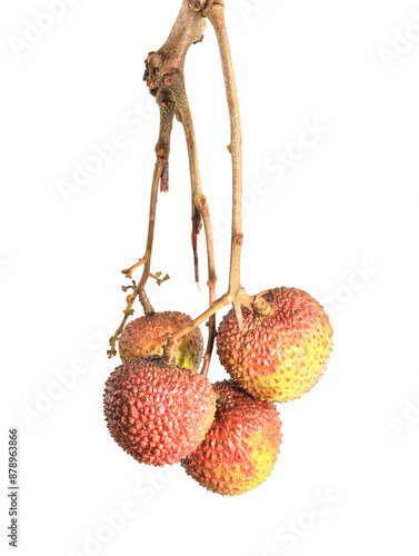 lychee isolated on white background