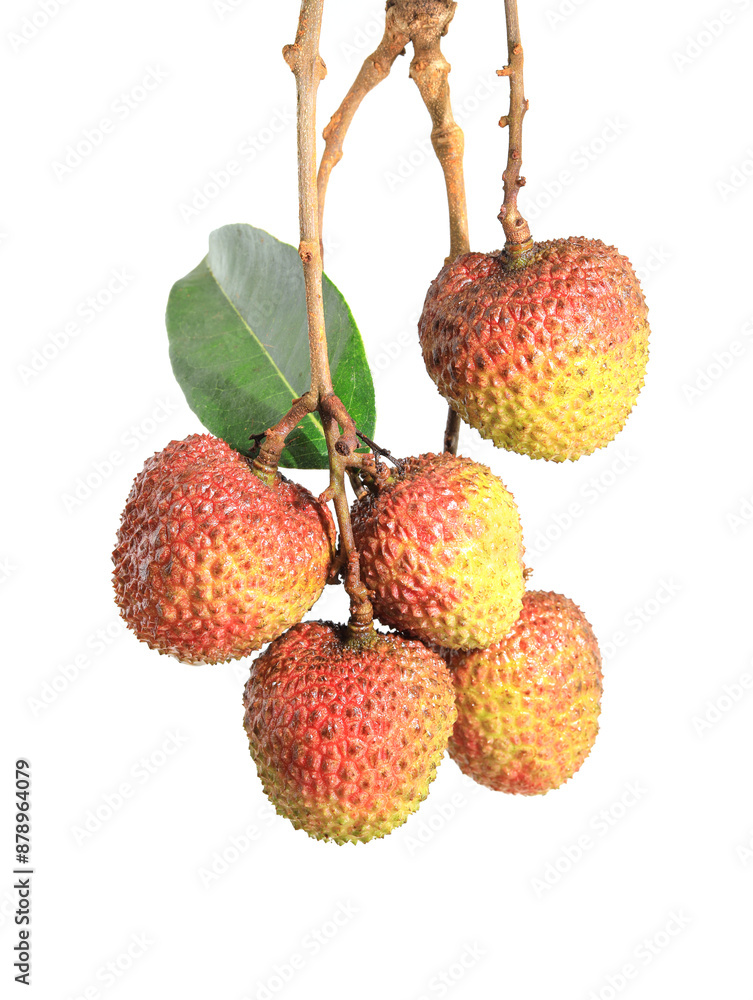 lychee isolated on white background lychee isolated on white background