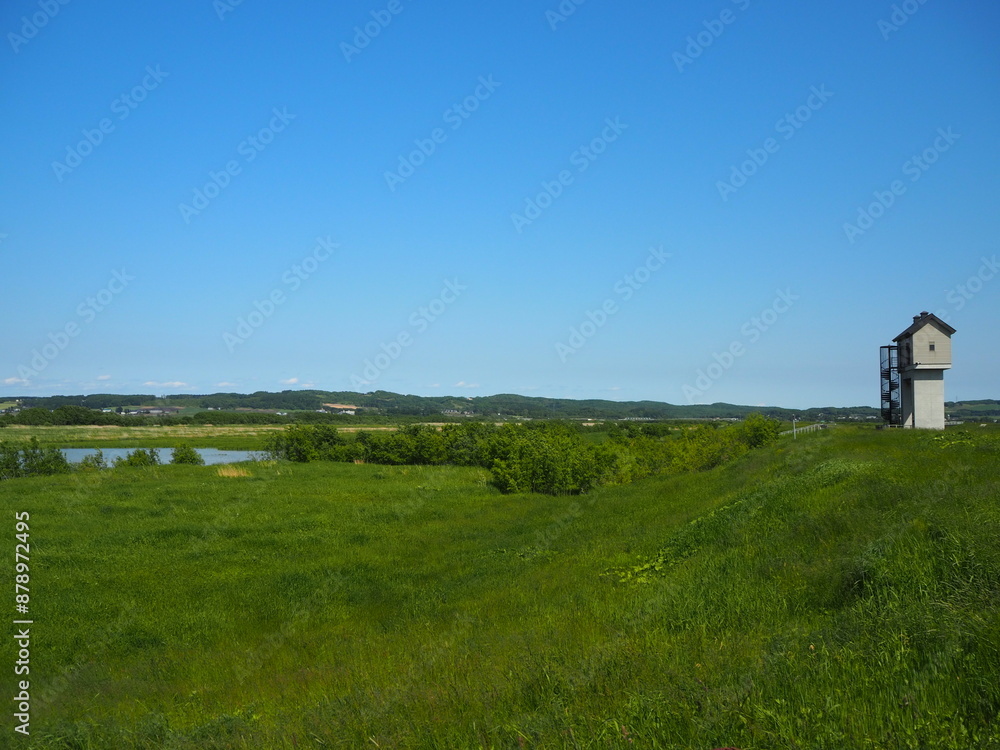 舞鶴遊水地の風景