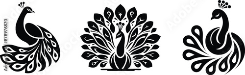 Set of peacock bird, logo and tattoo design, vector illustration.