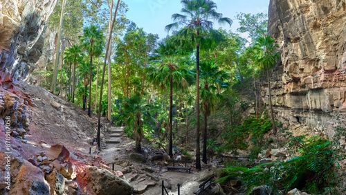 Pathway through the Carnarvon Gorge