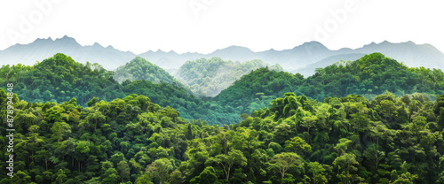 View of tropical forest with mountains on background, cut out photo