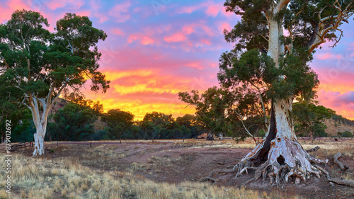 Flingers Sunrise Twin Gums