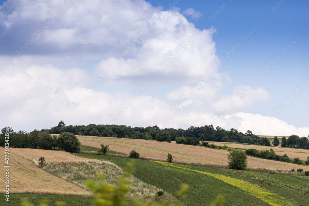 Landscape with field and blue sky. Agricultural crops. View. Nice nature. Landscape with field and blue sky. Agricultural crops. View. Nice nature.