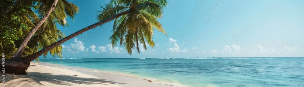 Tropical beach paradise with palm trees, white sand, and clear blue water under a sunny sky. Perfect vacation destination. Tropical beach paradise with palm trees, white sand, and clear blue water under a sunny sky. Perfect vacation destination.