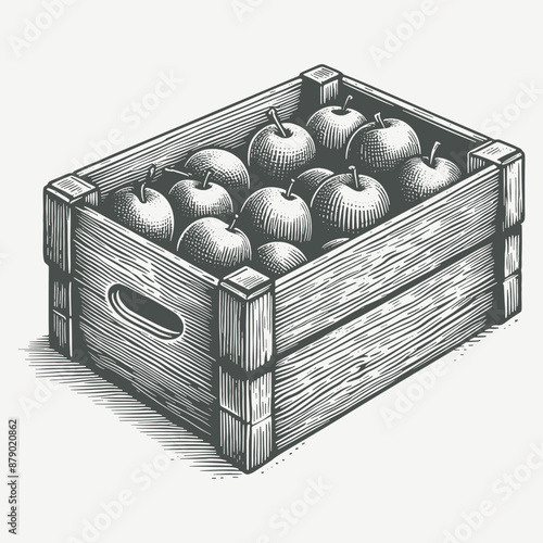 apples in a wooden fruit storage box hand drawn style