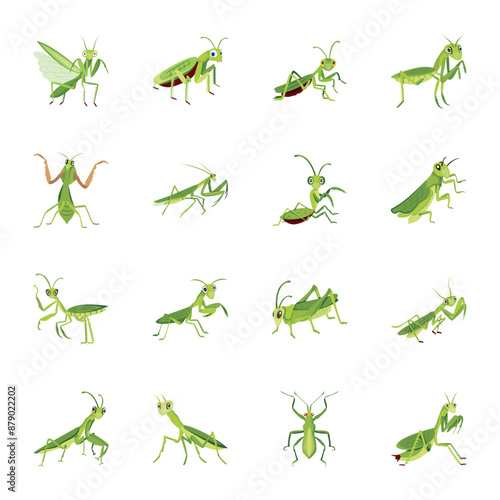 WebPack of Cute Praying Mantis Flat Icons 


