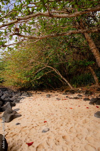 Leolani Cove in Princeville, secluded open-ceilinig sea cove, a wedding venue by 1 Hotel and Puu Poa Beach, with sandy beach, view of Napali Coast and Hanalei Bay surrounded by lush greenery, Kauai photo