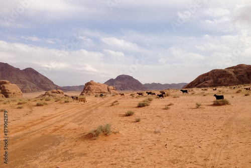 Wadi Rum Protected Area, Jordan