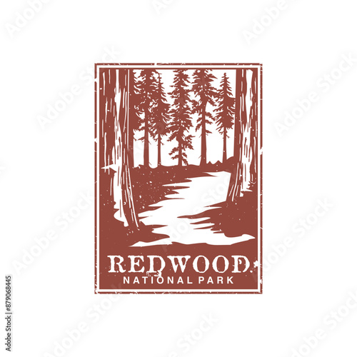 Redwood national park vector illustration in stamp style.