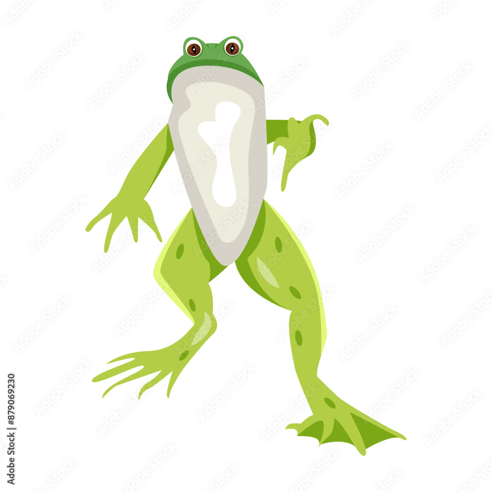 Fototapeta premium frog, toad, amphibian, anuran, creature, specie, vertebrate, cartoon, mascot, flat, vector, icon,