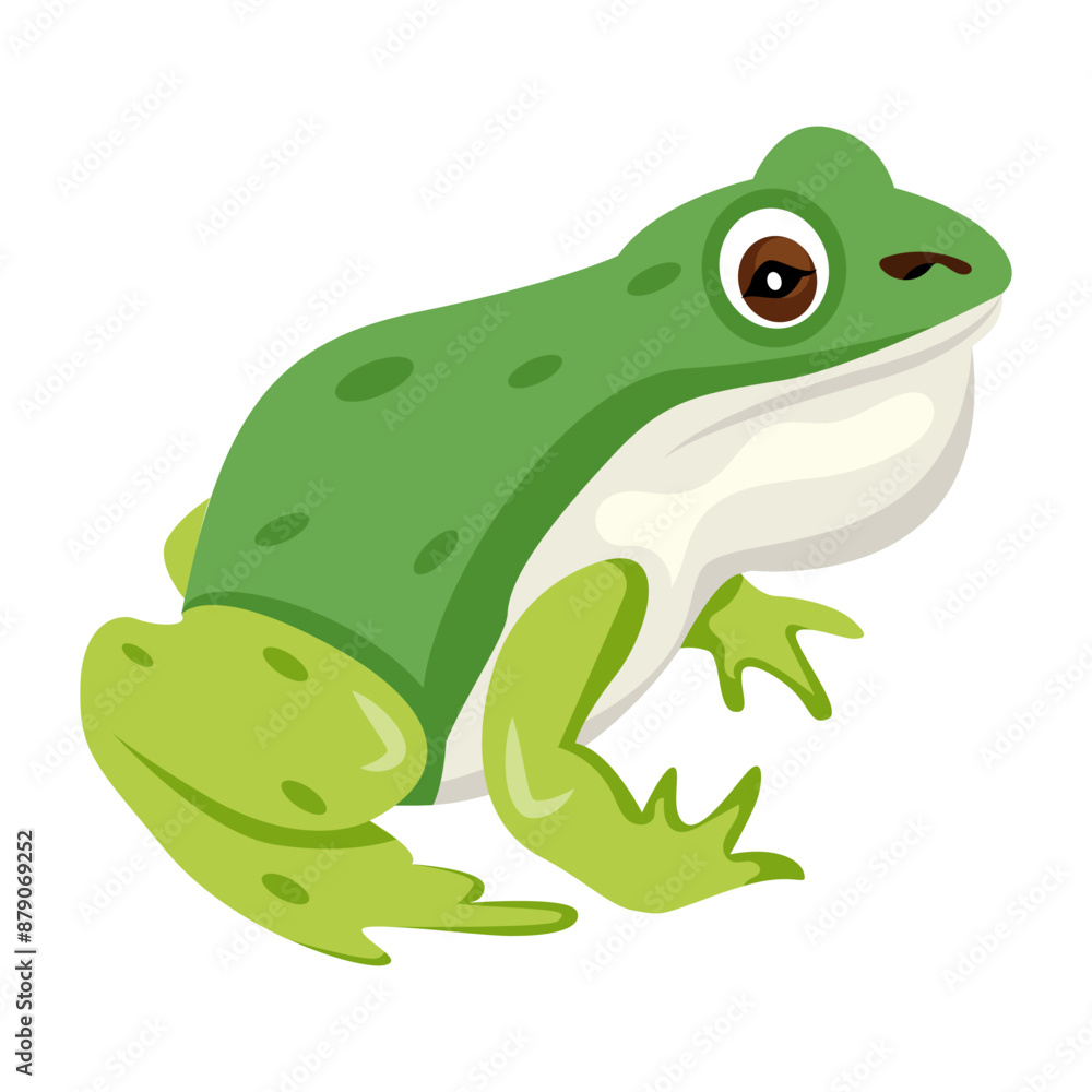 A flat vector icon of puddle frog
A flat vector icon of puddle frog
