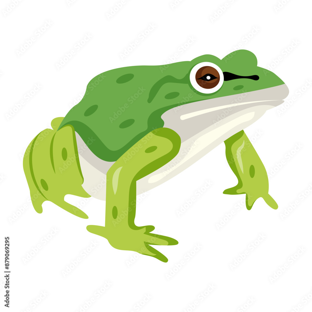 Salientia mascot icon in flat style
Salientia mascot icon in flat style
