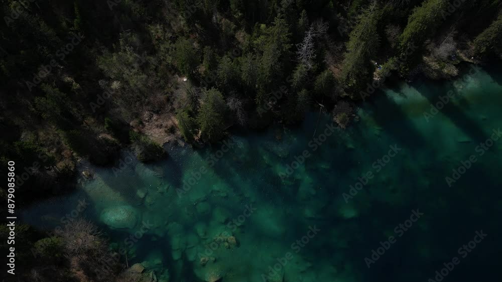 Cinematic Shot Of Stunning Cresta Lake Running Through Green Trees, Switzerland Cinematic Shot Of Stunning Cresta Lake Running Through Green Trees, Switzerland